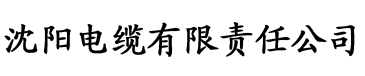 97影视电缆厂logo